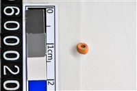 藏品(琉璃珠)的圖片