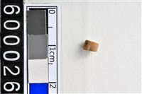 藏品(琉璃珠)的圖片