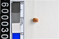 藏品(琉璃珠)的圖片