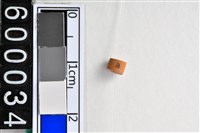 藏品(琉璃珠)的圖片