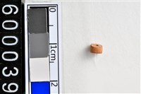 藏品(琉璃珠)的圖片