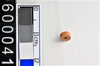 藏品(琉璃珠)的圖片