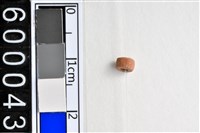 藏品(琉璃珠)的圖片