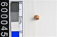 藏品(琉璃珠)的圖片