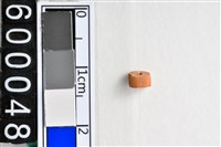 藏品(琉璃珠)的圖片