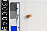 藏品(琉璃珠)的圖片