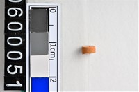 藏品(琉璃珠)的圖片