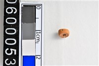 藏品(琉璃珠)的圖片