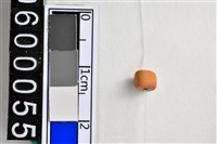 藏品(琉璃珠)的圖片