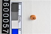 藏品(琉璃珠)的圖片