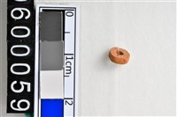 藏品(琉璃珠)的圖片