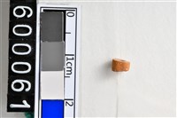 藏品(琉璃珠)的圖片