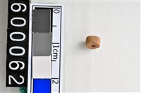 藏品(琉璃珠)的圖片