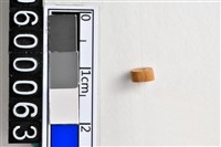 藏品(琉璃珠)的圖片