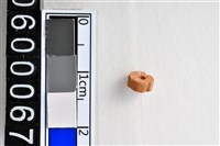 藏品(琉璃珠)的圖片