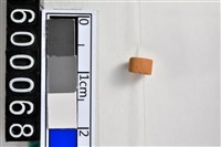 藏品(琉璃珠)的圖片