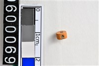 藏品(琉璃珠)的圖片