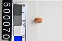 藏品(琉璃珠)的圖片