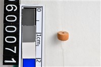 藏品(琉璃珠)的圖片