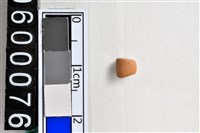 藏品(琉璃珠)的圖片