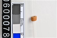 藏品(琉璃珠)的圖片