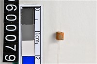 藏品(琉璃珠)的圖片