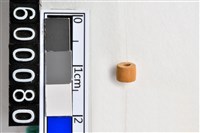 藏品(琉璃珠)的圖片