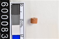 藏品(琉璃珠)的圖片