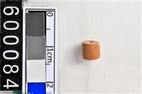 藏品(琉璃珠)的圖片