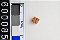 藏品(琉璃珠)的圖片