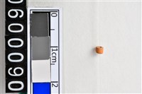 藏品(琉璃珠)的圖片