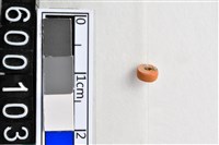 藏品(琉璃珠)的圖片