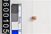 藏品(琉璃珠)的圖片