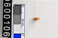 藏品(琉璃珠)的圖片