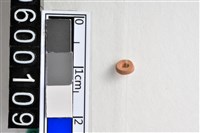 藏品(琉璃珠)的圖片