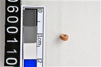 藏品(琉璃珠)的圖片