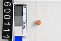 藏品(琉璃珠)的圖片