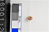 藏品(琉璃珠)的圖片