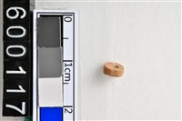 藏品(琉璃珠)的圖片