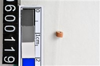 藏品(琉璃珠)的圖片