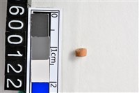 藏品(琉璃珠)的圖片