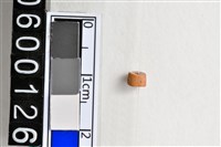 藏品(琉璃珠)的圖片