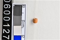 藏品(琉璃珠)的圖片