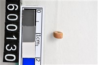 藏品(琉璃珠)的圖片