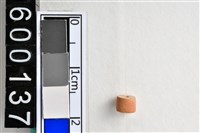 藏品(琉璃珠)的圖片