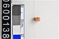 藏品(琉璃珠)的圖片