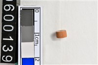 藏品(琉璃珠)的圖片