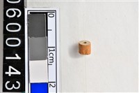 藏品(琉璃珠)的圖片