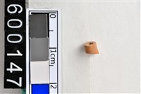 藏品(琉璃珠)的圖片