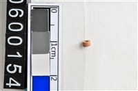 藏品(琉璃珠)的圖片